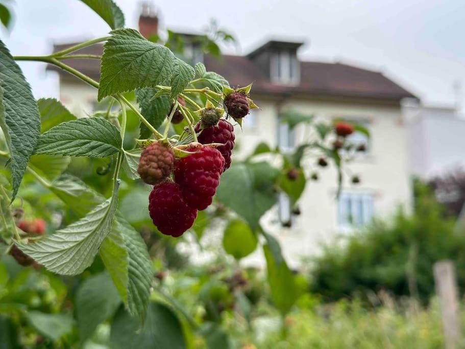 Confort Avec Jardin Proche Centre Besançon