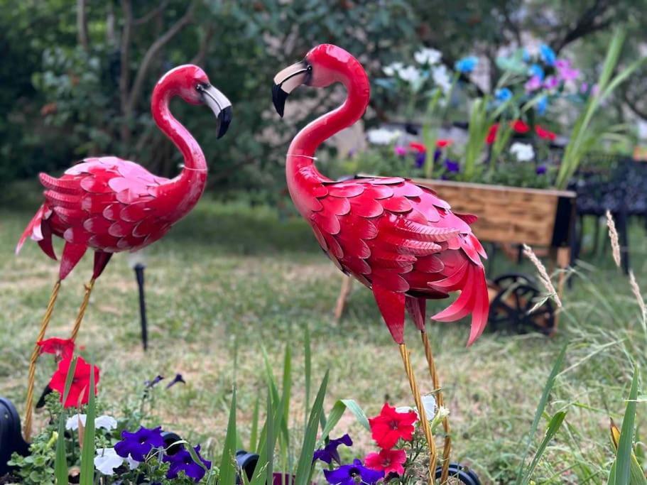 Confort Avec Jardin Proche Centre